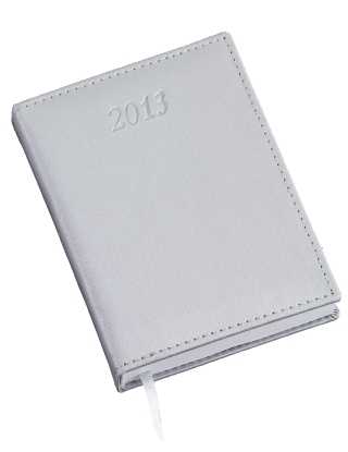 213 L AGENDA COMPACTA PRATA 