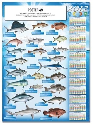 CALENDÁRIO PÔSTER 49